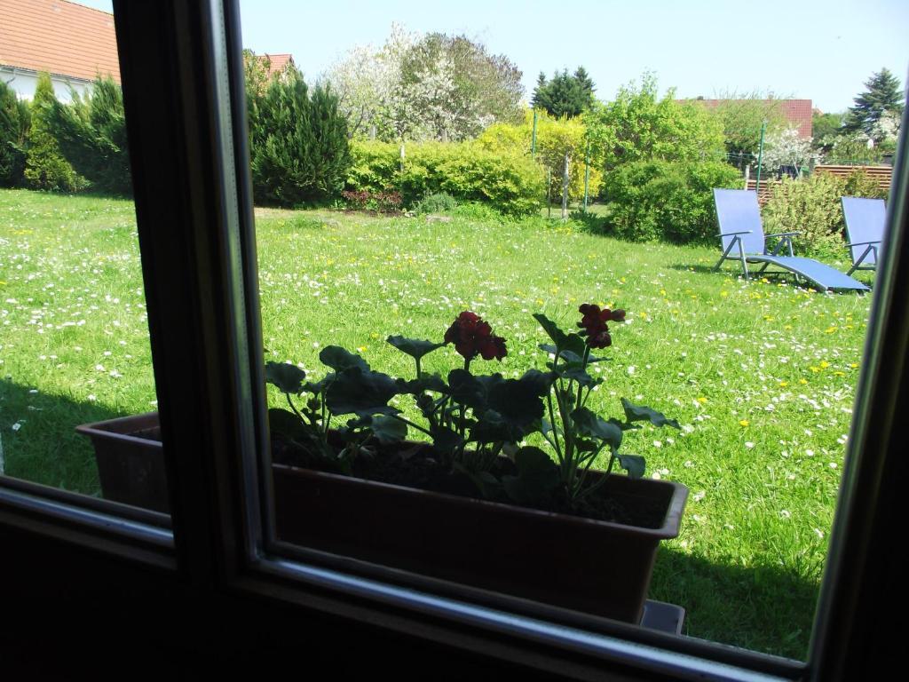 Ferienhaeuser Boerge Sassnitz Room photo